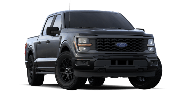 2024 Ford F-150 Vehicle Photo in Weatherford, TX 76087-8771